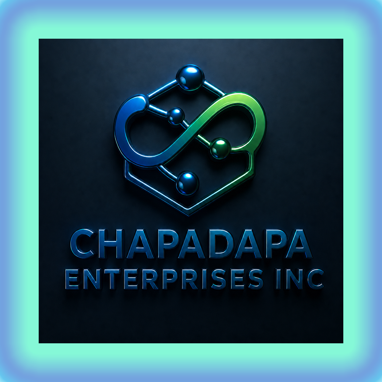 Chapadapa Enterprises | Chap Government Solutions